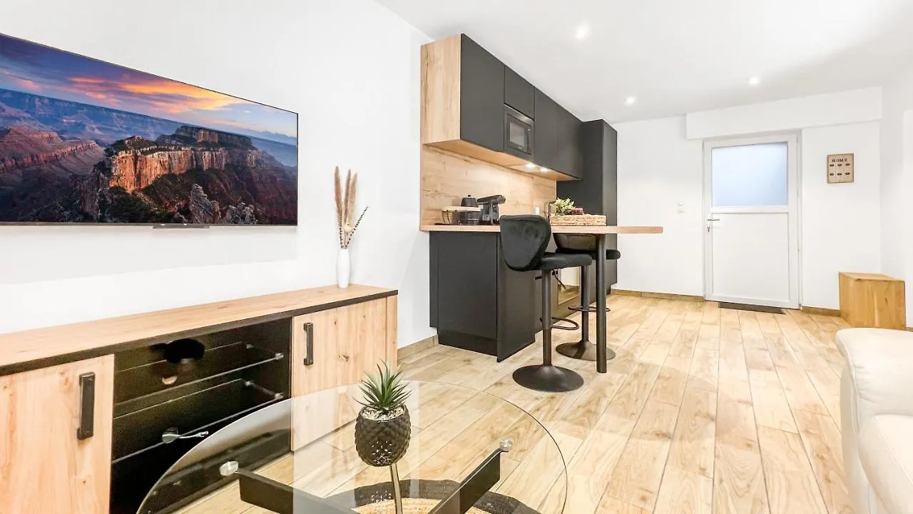 Apartment Homey Ethan - Free Parking - Terrasse Privee - Wifi Et Netflix - Jacuzzi Monnetier-Mornex