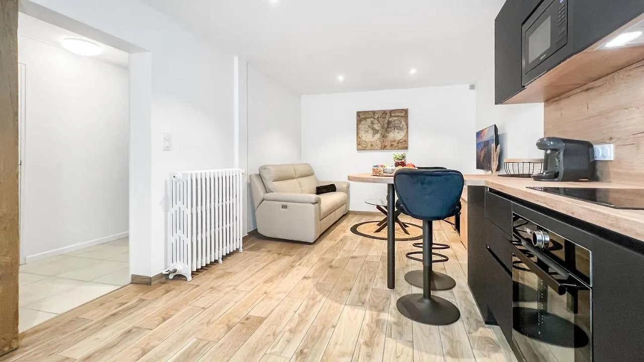 Apartment Homey Ethan - Free Parking - Terrasse Privee - Wifi Et Netflix - Jacuzzi Monnetier-Mornex